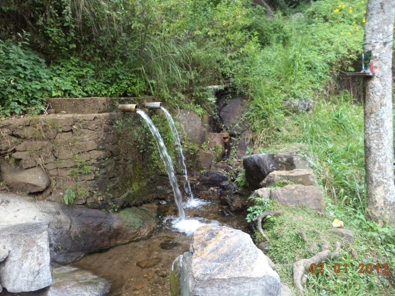 הפוטאלה Mount View Family Rest & Cottage מראה חיצוני תמונה